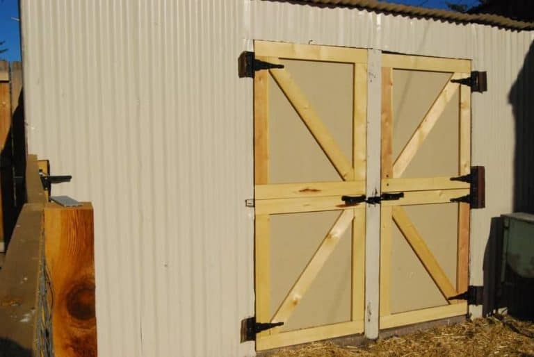 Which Shed Door Ideas Are the Best for You? – Outdoor Storage Options