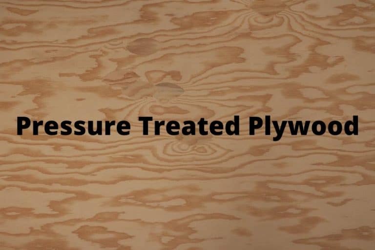 Is Pressure Treated Plywood Best for a Shed Floor? Outdoor Storage
